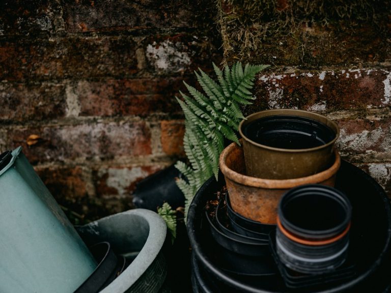 Gardening Tools Every Gardener Should Have in Their Shed