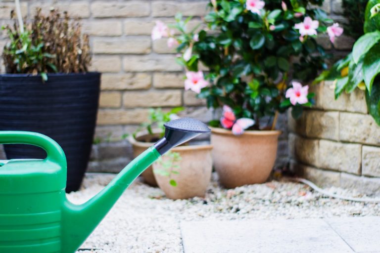 Maximize Your Harvest with Effective Garden Planning Techniques