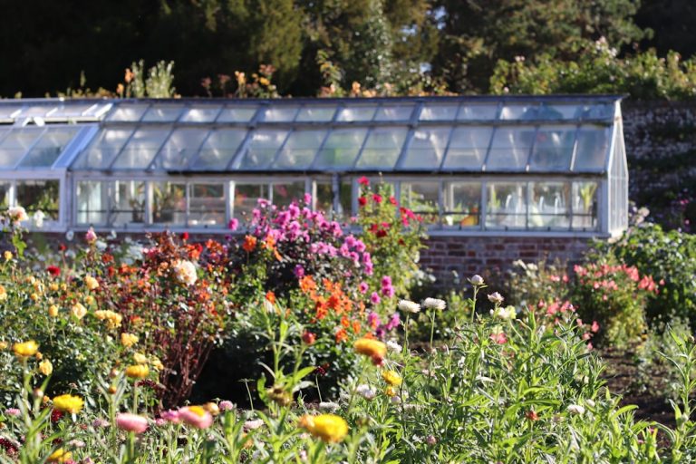 Seasonal Gardening: What to Plant for Each Season’s Success